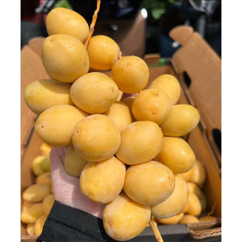 chà là tưoi ai cập  100gr (các tỉnh xa sài gòn ib trước khi đặt )