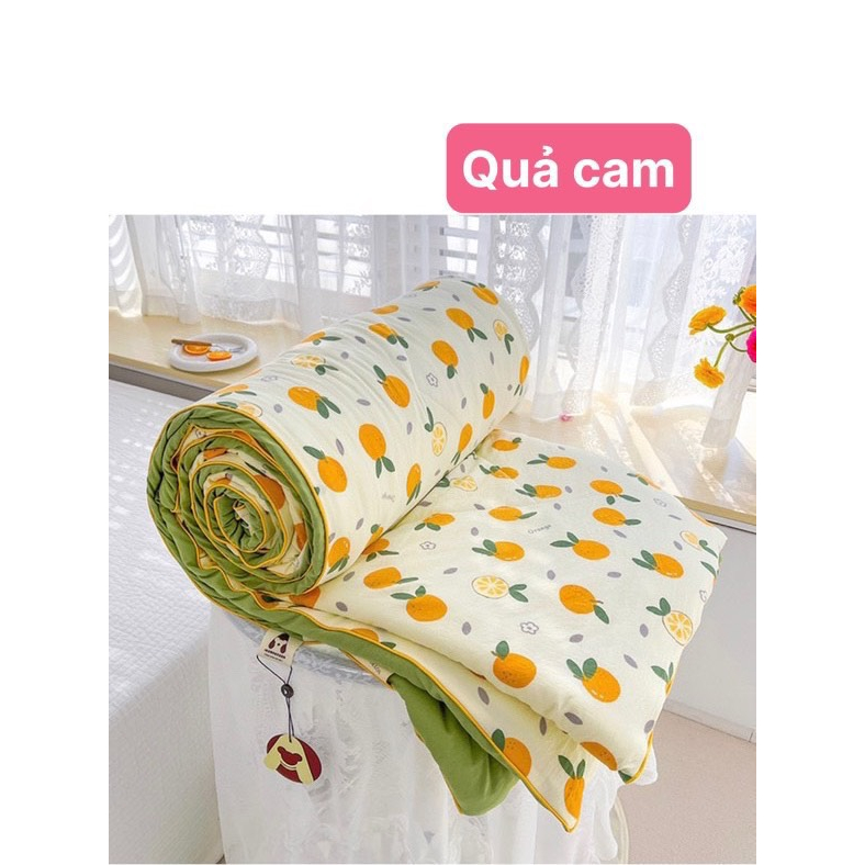 Chăn hè đũi nhân xơ đậu nành trần bông nhập khẩu 2mx2m2.Chăn cotton đũi mềm mại thoáng mát mẫu mới 2023