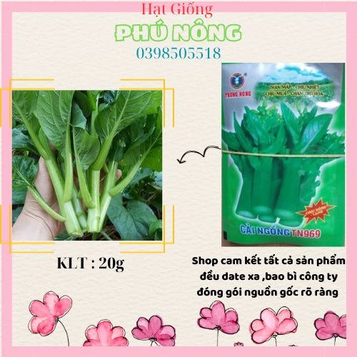 Hạt giống cải ngồng thân mập chịu nhiệt Trung Nông 20gr