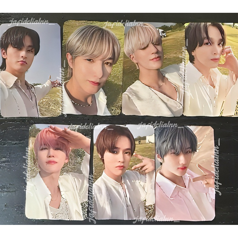 CARD NCT DREAM MUMO JAPAN 🐯🦊🐶🐻🐱🐬🐹