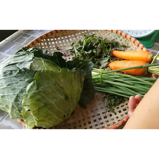 Dưa Bắp Cải Muối  Chua  ( thơm giòn và ngon ) 1kg