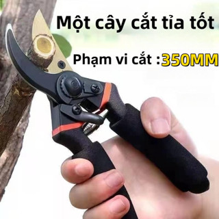 kéo cắt cây cảnh Nhật SK5,kéo cắt cành trên cao,cành cây khô thép Cắt sắc nét,Tay cầm Thoải mái Bọt biển