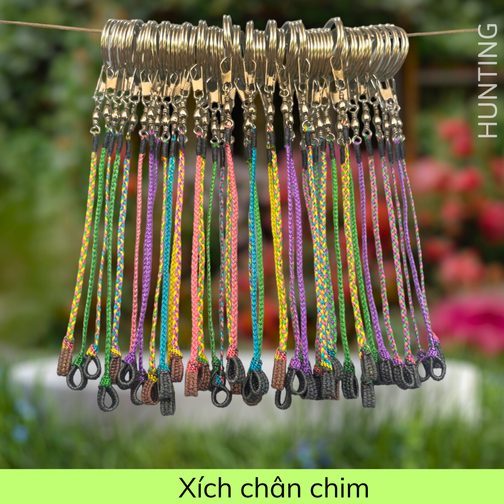 Xích chân chim chào mào, chim khuyên, chim cu gáy  bền đẹp tiện lợi nhiều màu sắc