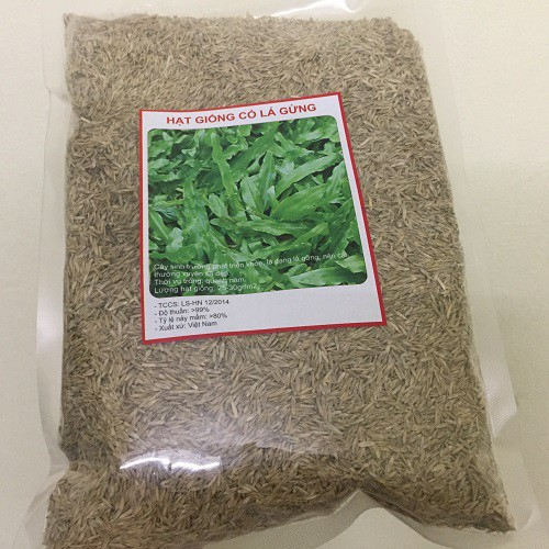 Gói 100 gram.Hạt giống cỏ lá gừng ,cỏ lá tre-tặng kèm gói phân bón lót