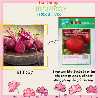 Hạt Giống Củ Dền Đỏ Phú Nông 5Gr Dễ Trồng Tốt Cho Sức Khỏe
