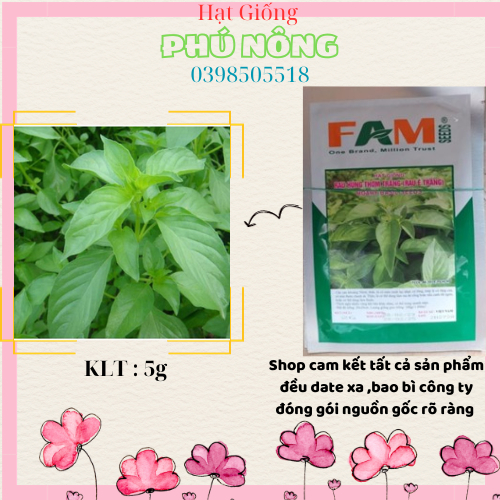 Hạt giống rau húng thơm ( é trắng) Famseeds 5G