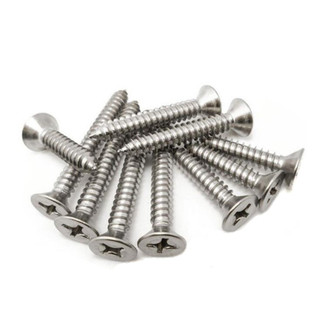 Vít Inox bắt gỗ, bắt tắc kê nhựa