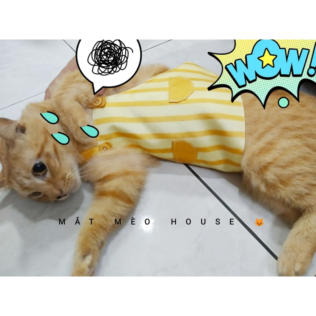 Tạp dề mèo Yukichi