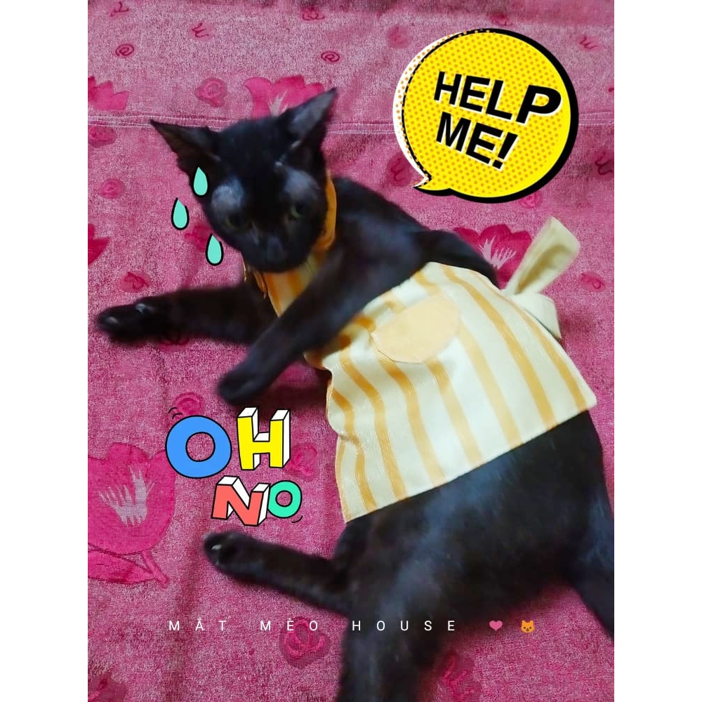 Tạp dề mèo Yukichi