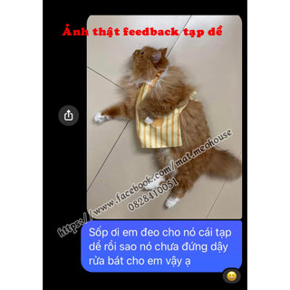 Tạp dề mèo Yukichi