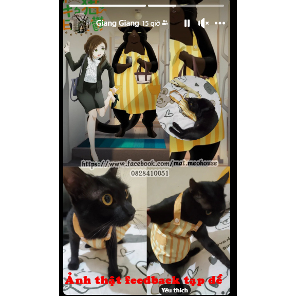 Tạp dề mèo Yukichi