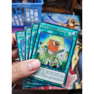 [Yugioh Funny Shop] 1 lá thẻ bài Naturia Blessing - MP23-EN204 - Ultra Rare 1st Edition