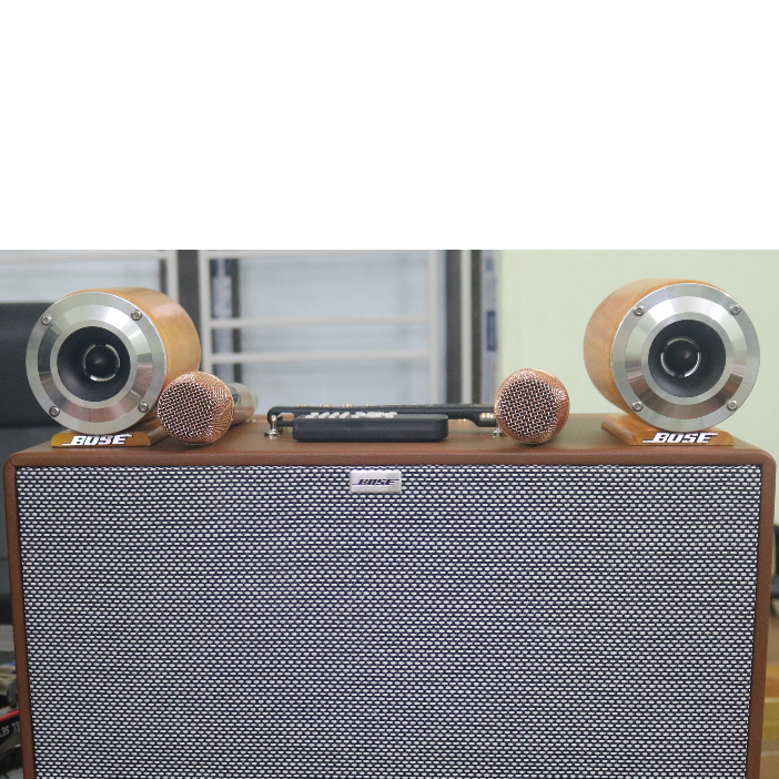 Loa Siêu Treble Màng Titan Gỗ Nguyên Khối Gỗ Tự Nhiên