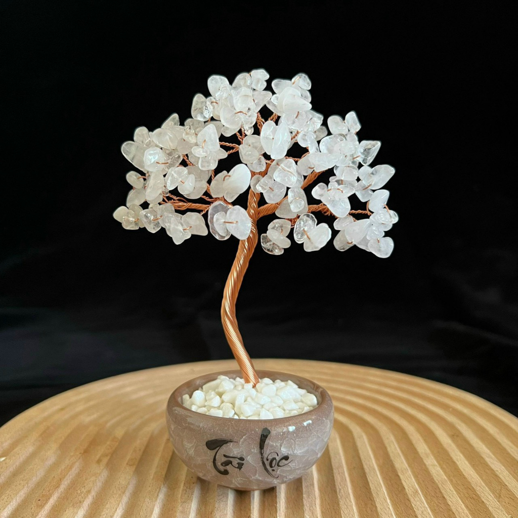 Cây Đá Phong Thủy Tài Lộc Để Bàn Siêu Đẹp