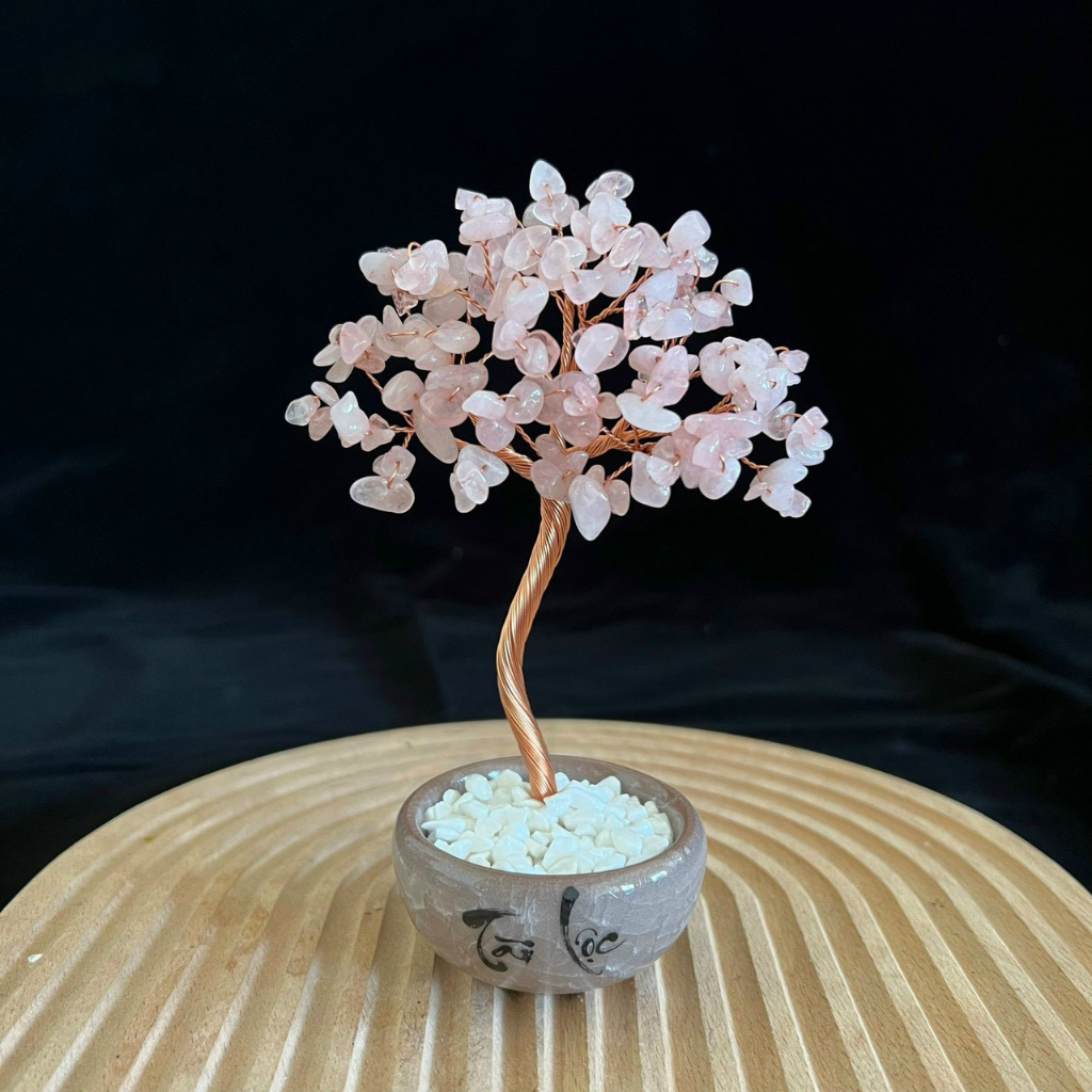 Cây Đá Phong Thủy Tài Lộc Để Bàn Siêu Đẹp