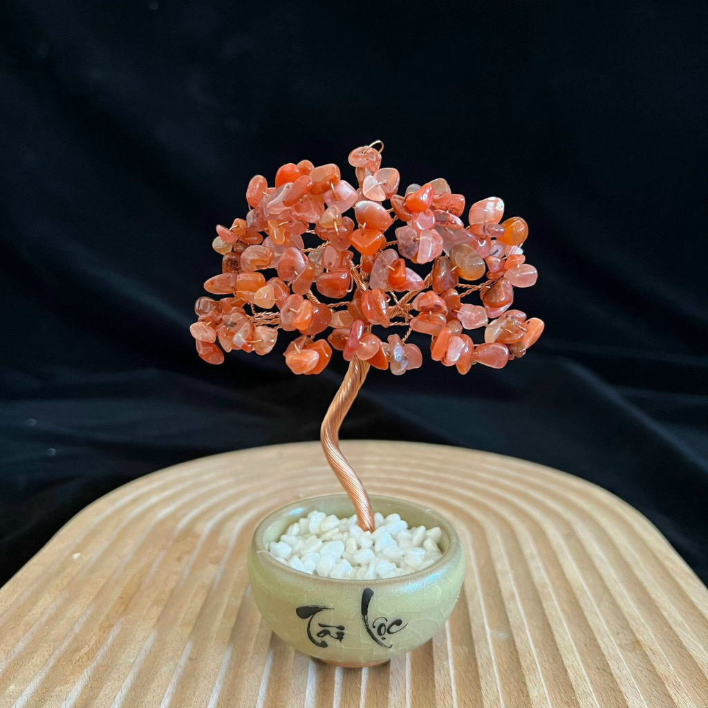 Cây Đá Phong Thủy Tài Lộc Để Bàn Siêu Đẹp