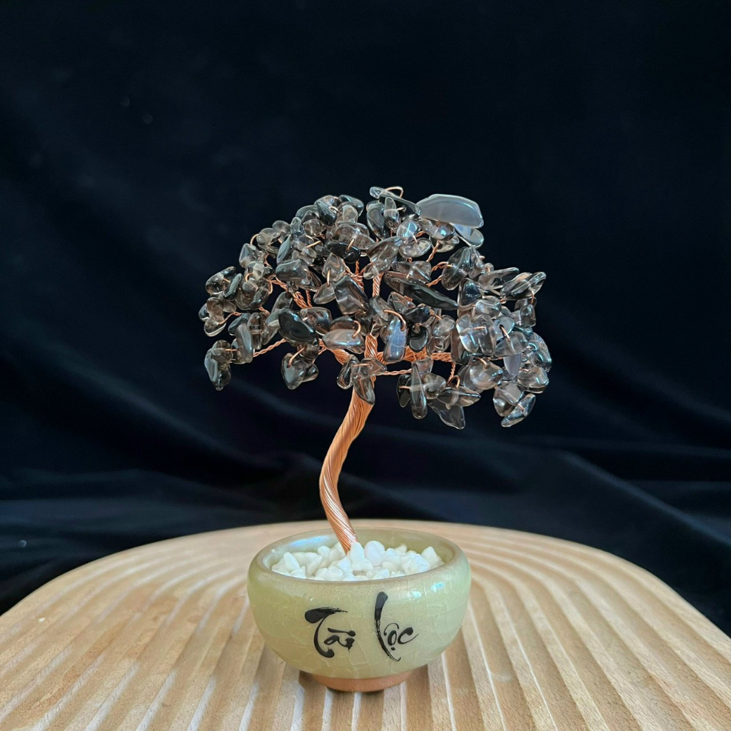 Cây Đá Phong Thủy Tài Lộc Để Bàn Siêu Đẹp