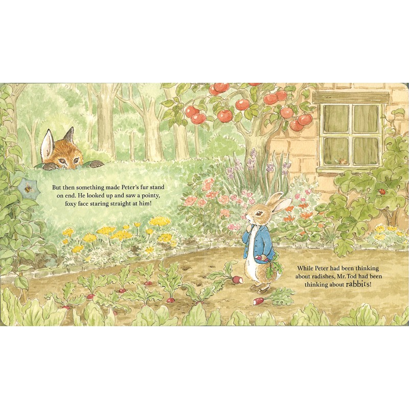 PETER RABBIT - A PEEP-INSIDE TALE