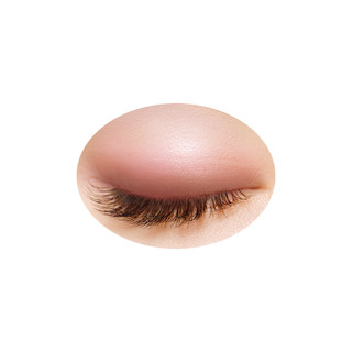 [Order Nhật] (nt shop) Phấn mắt Cezanne Nuance On Eye Shadow