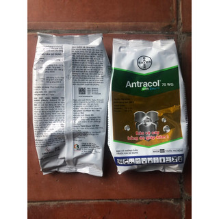 500gr Antracol dạng cớm dể hoà tan trong nước
