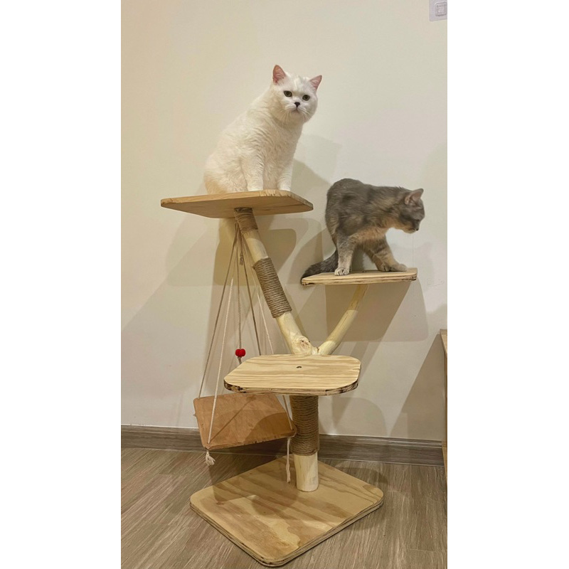 🍀cattree - nhà mèo - trụ cào từ gỗ tự nhiên ☘️