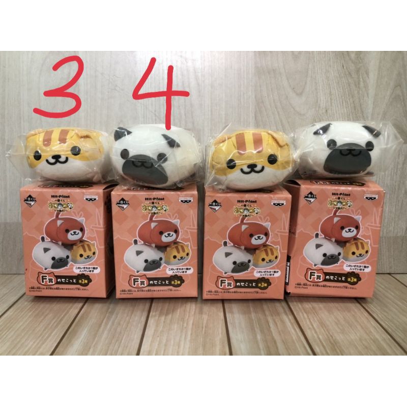 Gấu Bandpresto