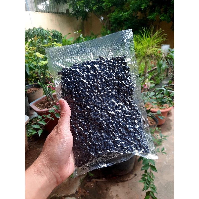 Đậu đen Lạng Sơn