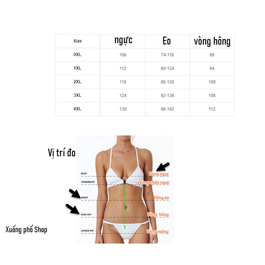 Đồ bơi, Bikini 2 mảnh Size Lớn, Giấu Bụng, Kín Đáo Cho Người Béo Mập #B101