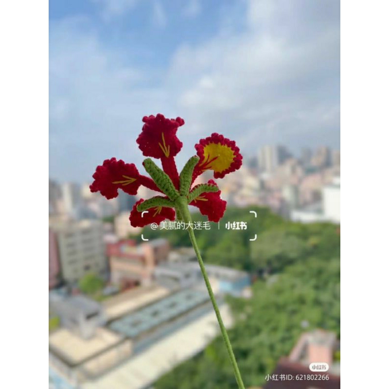 Hoa phượng bằng len trang trí