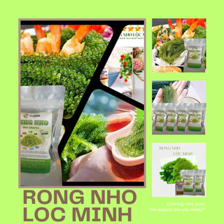 [FREESHIP] Rong nho tách nước, rong nho biển, gói 100g nở ra 300g, gói 25g nở ra 75g, ăn vặt siêu ngon, siêu rẻ