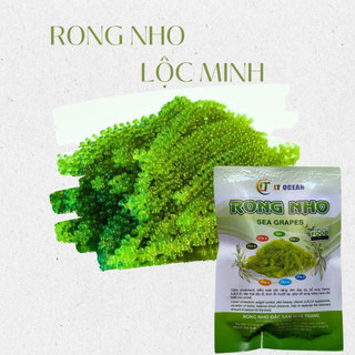   GIẢM GIÁ  Rong nho tách nước combo 5 gói nở ra rong tươi 375gr mua 2 combo tặng kèm 1 gói sốt mè rang kewpie thơm ngon 