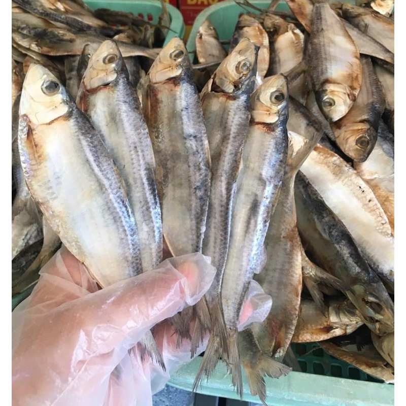 KHÔ CÁ TRÍCH, CÁ TRÍCH PHAN THIẾT.