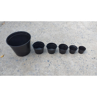 Combo 5 cái, 10 cái chậu nhựa trồng lan, chậu bít hông màu đen phi 10, 12, 14, 16, 18cm