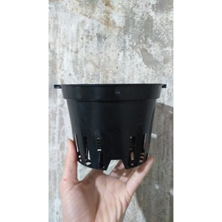Combo 5 cái, 10 cái chậu nhựa trồng lan, chậu lan phi đen cỡ 23, 25, 28cm