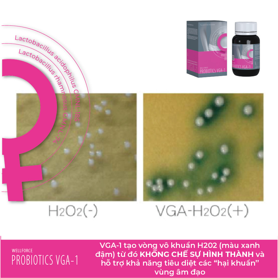 Men vi sinh âm đạo Wellforce Proiotic VGA-1