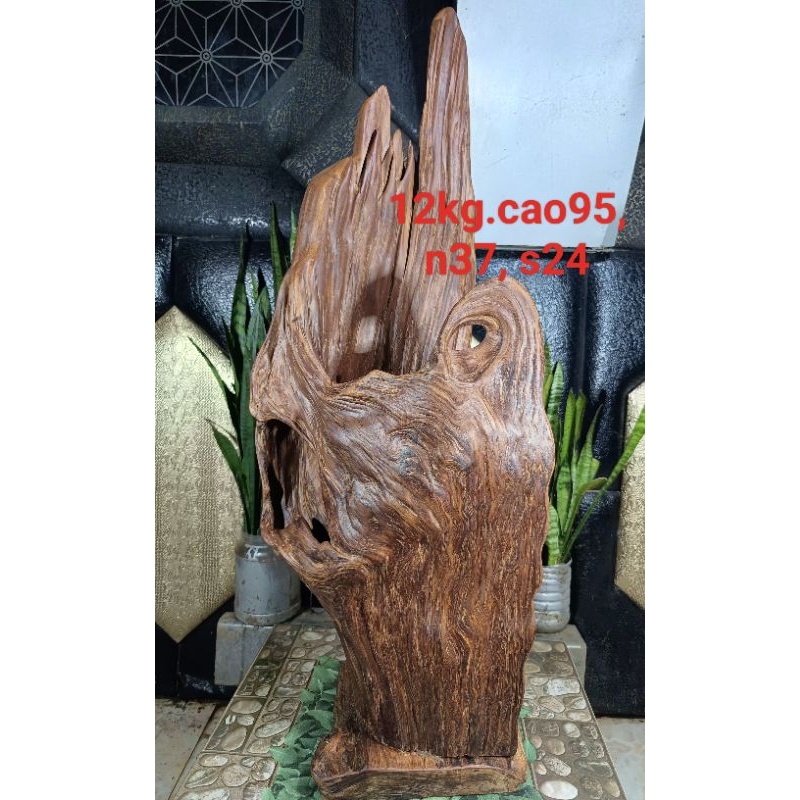 Lũa gỗ thơm ngọc am đỏ