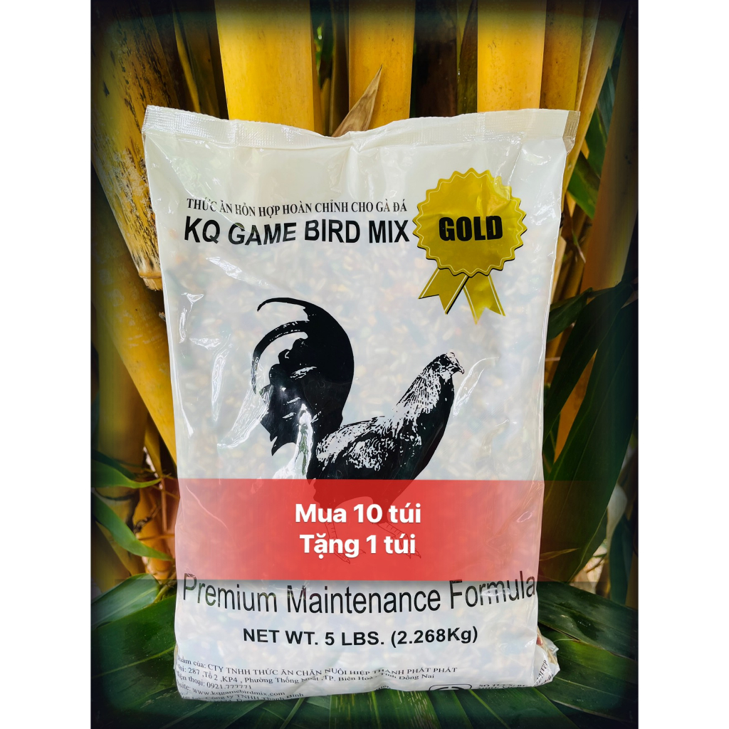 Thức Ăn Gà Đá KQ giai đoạn nuôi đá