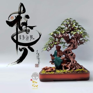 khay tiểu cảnh, trồng cây bonsai