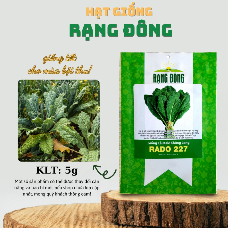 Hạt giống Kale Khủng long, cải Kale