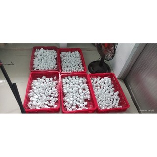 Tượng SKULLPANDA mini 2D (ko kèm màu &cọ)