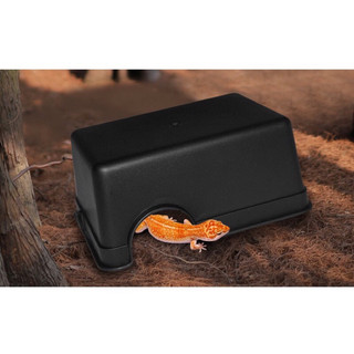 Hang trú cho bò sát, hang trú cho thằn lằn gecko, bọ cạp , lg , nhện...