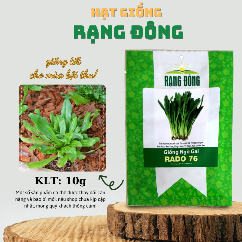 Hạt giống rau Ngò Gai (Mùi Tàu) 10g, siêu dễ trồng