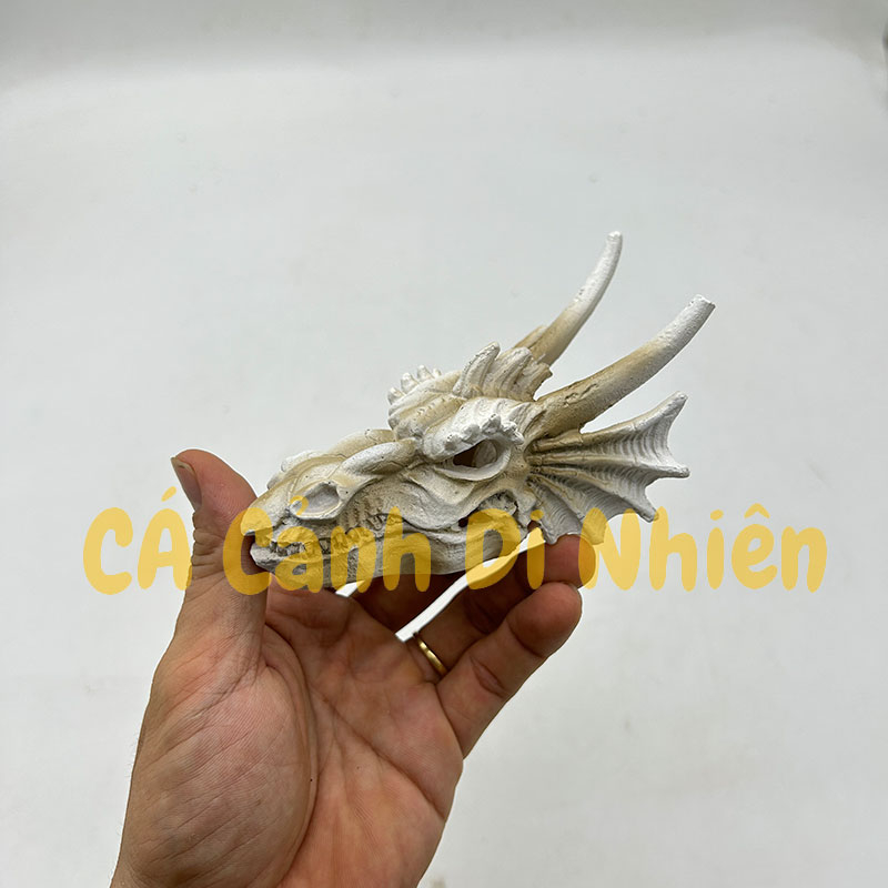 Tượng đầu lâu Khủng long rồng làm tiểu cảnh trang trí hồ cá thủy sinh nuôi bò sát