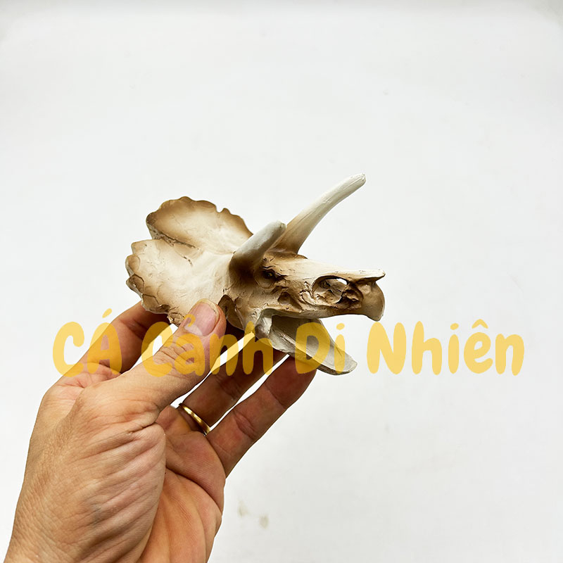 Tượng đầu lâu Khủng long rồng làm tiểu cảnh trang trí hồ cá thủy sinh nuôi bò sát