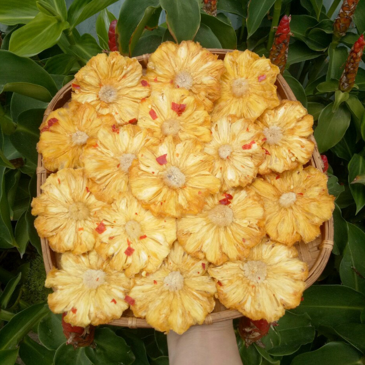 Thơm Sấy Muối Ớt I Thơm Sấy Dẻo 500g Chua Ngọt Tự Nhiên Không Đường Món Ăn Vặt Siêu Ngon Kích Thích Vị Giác SHOP COBAVA