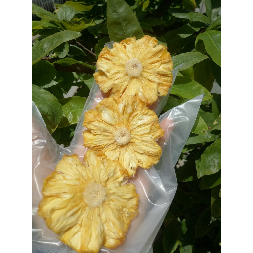 Thơm Sấy Muối Ớt I Thơm Sấy Dẻo 500g Chua Ngọt Tự Nhiên Không Đường Món Ăn Vặt Siêu Ngon Kích Thích Vị Giác SHOP COBAVA