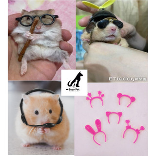 Kính đen cho hamster chụp ảnh