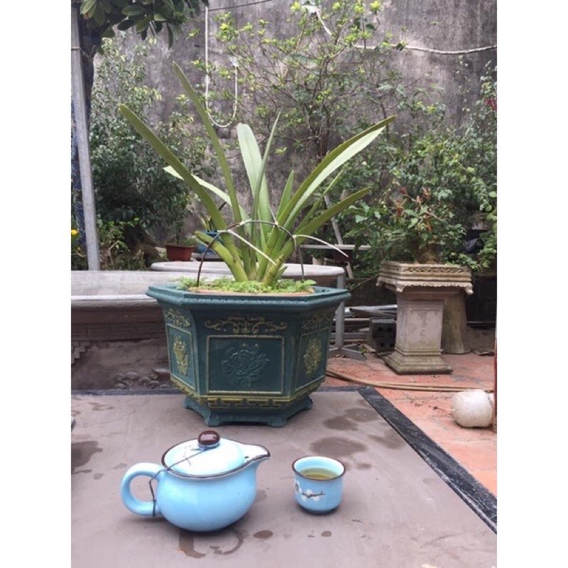 Khuôn chậu lục giác 30 mẫu hoa