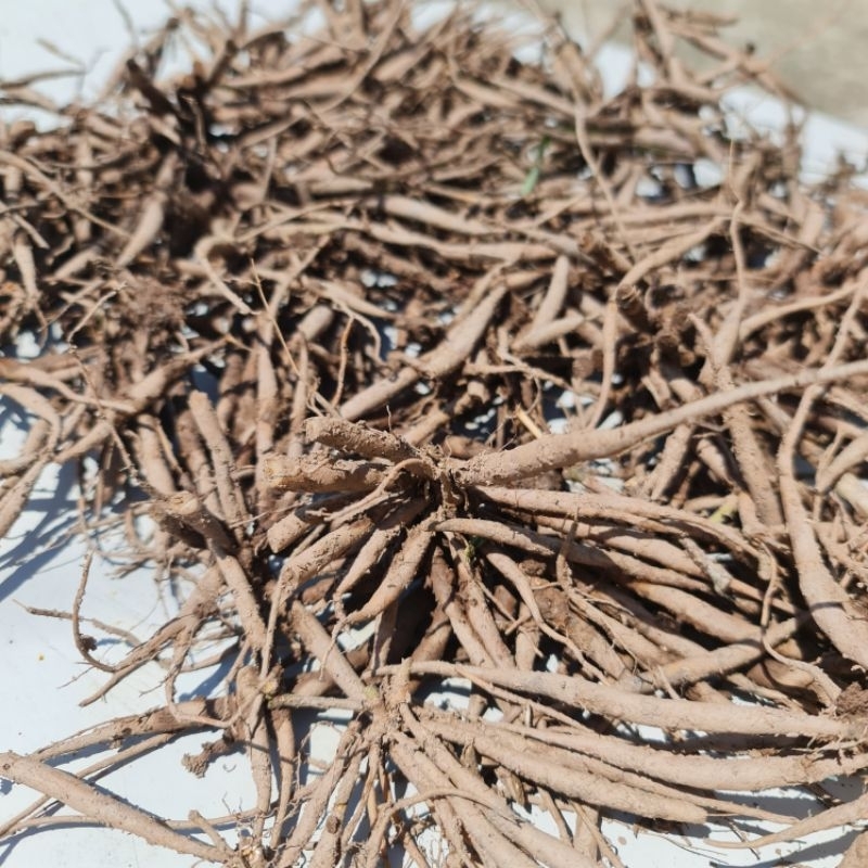 500g Củ sâm đất, sâm tanh tách loại tươi