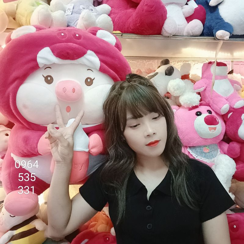 Gấu bông,heo dâu coslay